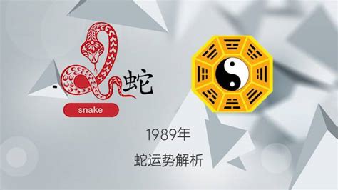 1989年是什么命|1989属蛇的五行 1989年属蛇蛇是什么命